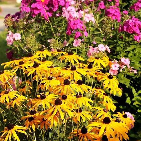 公寓 Haufhof , Bei Schladming *