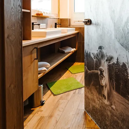 Haufhof , Bei Schladming * 恩斯塔尔豪斯