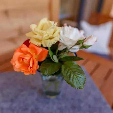 Haufhof , Bei Schladming