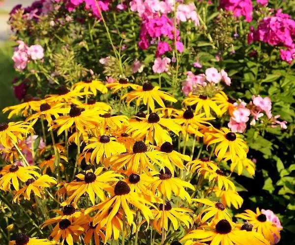 דירה Haufhof , Bei Schladming *