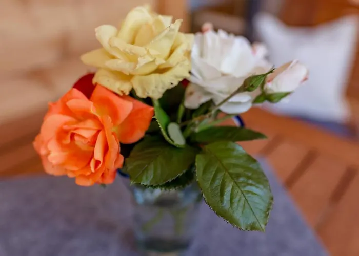 Haufhof , Bei Schladming